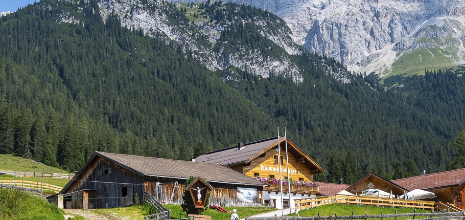 leut-sommer008