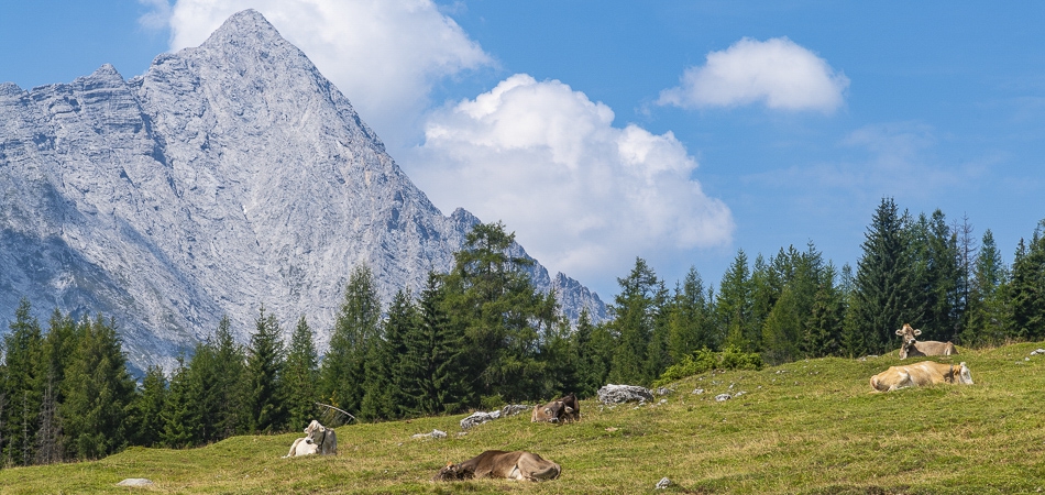 leut-sommer009
