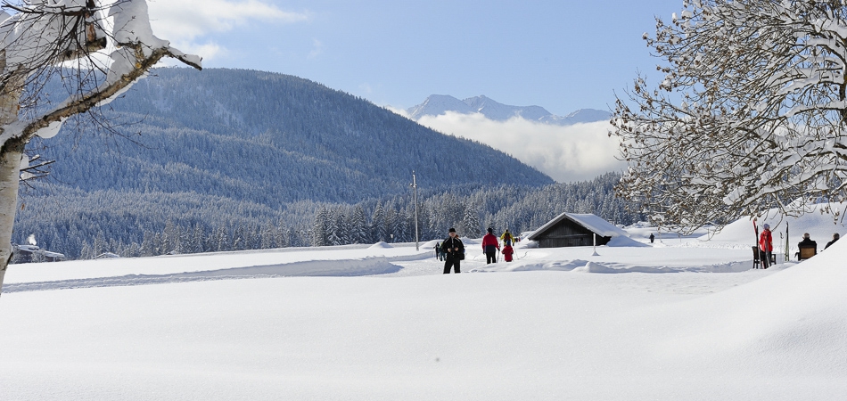 leut-winter005