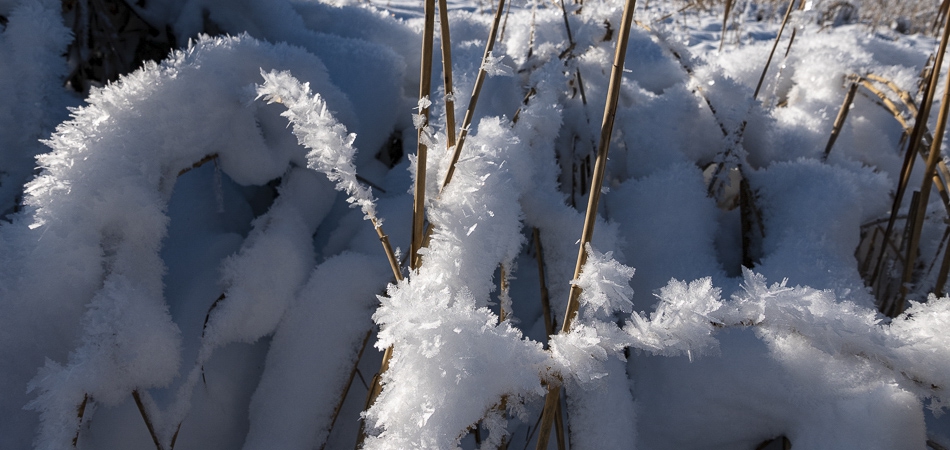 leut-winter020